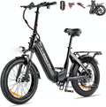 C20 E Bike Klapprad Fahrrad, 250 W Motor 25km/h Ebike, Stauraum, 20 × 3.0 Fatbike mit Hydraulische Bremsen, 48V 15.6Ah Akku bis 120km, verstellbar