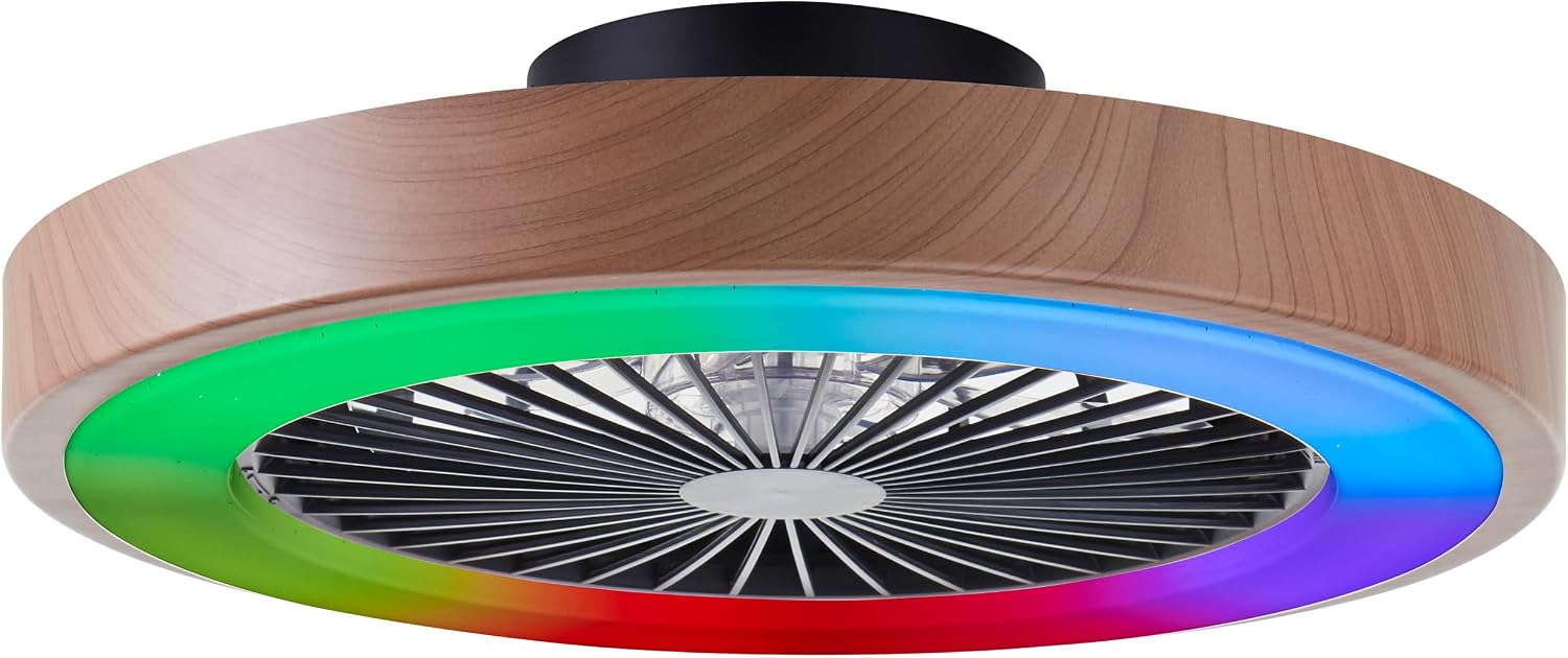 Lightbox LED Deckenlampe mit Ventilator, Ø 49 cm, dimmbar per Fernbedienung, LED-Beleuchtung, aus Kunststoff/Metall, dimmbares Licht